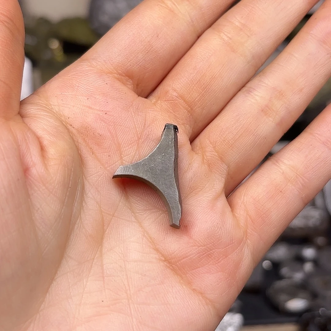 天***）铁合金埃及卡密尔