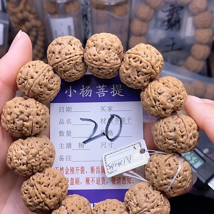 金刚菩提手串24.5霸王龙