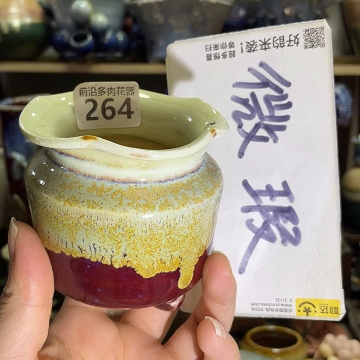 狼盆内口径5高度8