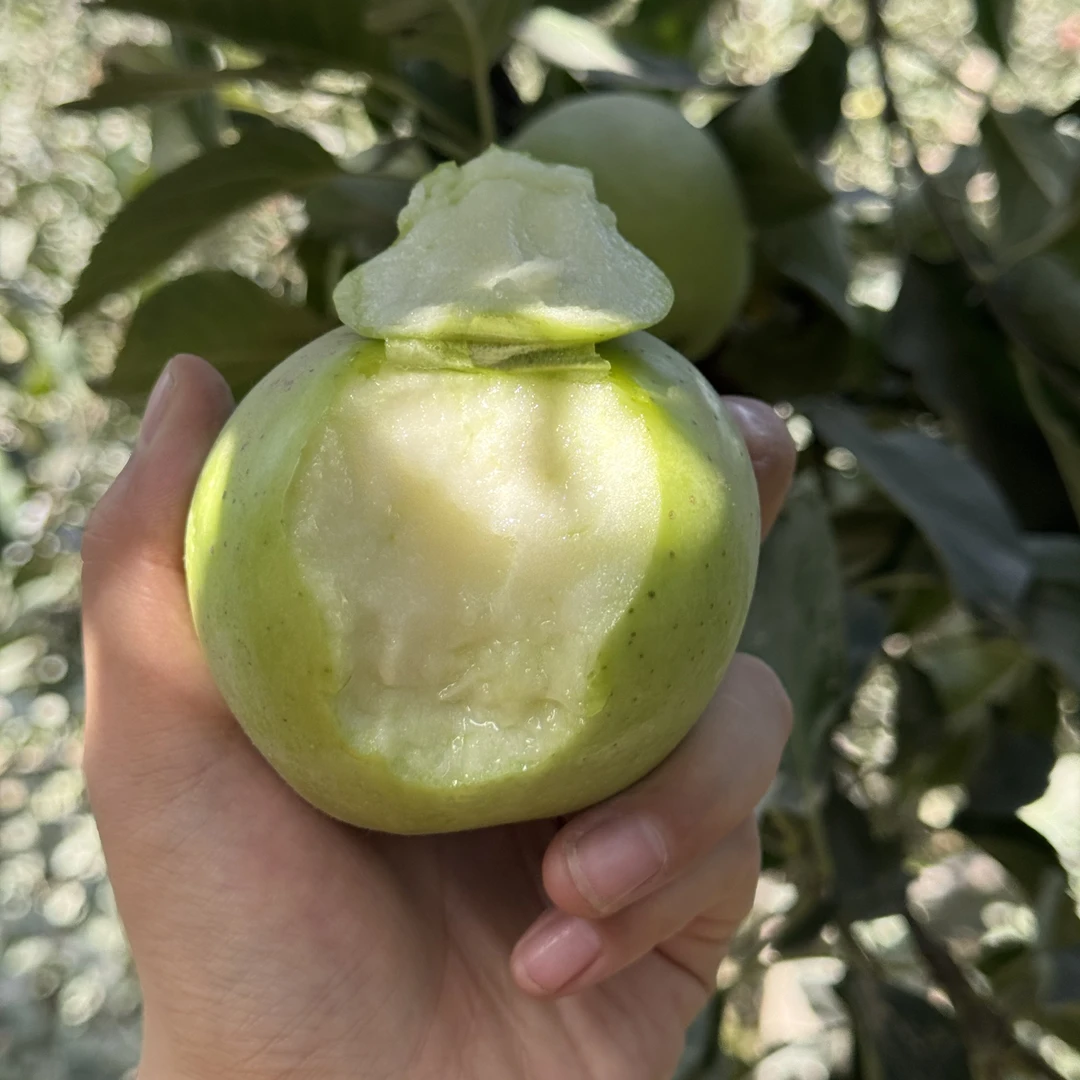 新疆直发【阿克苏王林苹果】新鲜水果丑苹果脆甜爆汁现摘现发