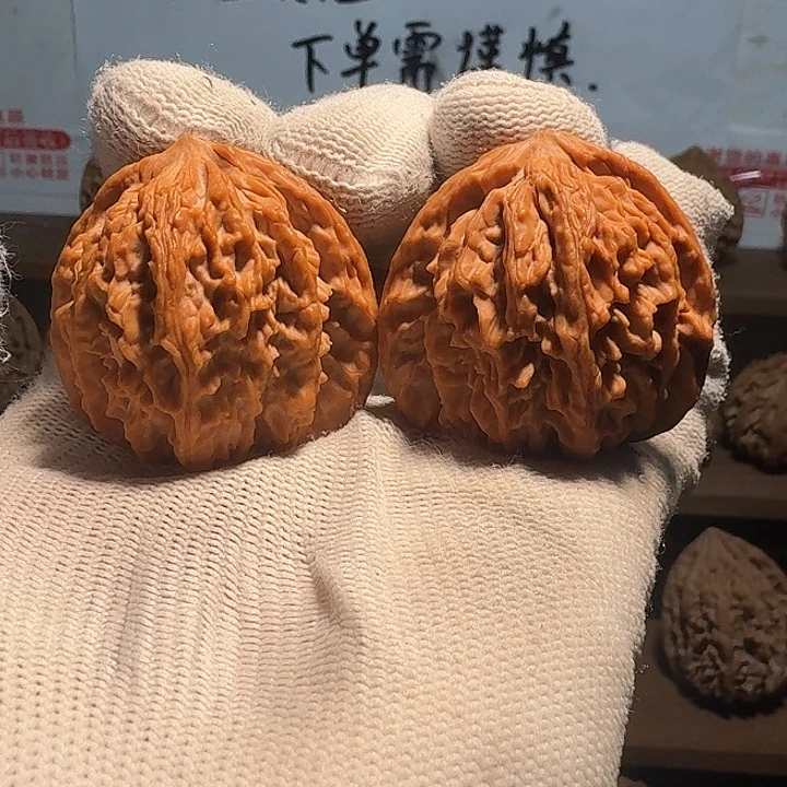 影***主秦岭野生流星雨狮子头
