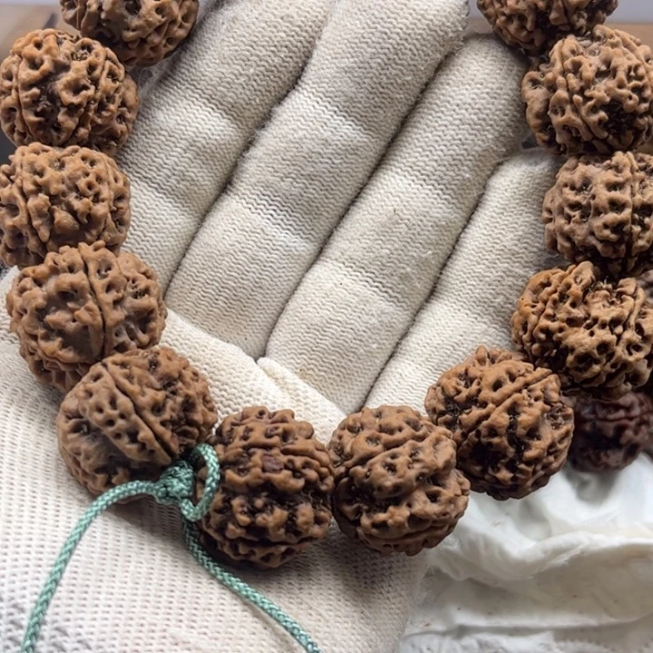 金刚菩提手串23梁梅花双龙原生态3