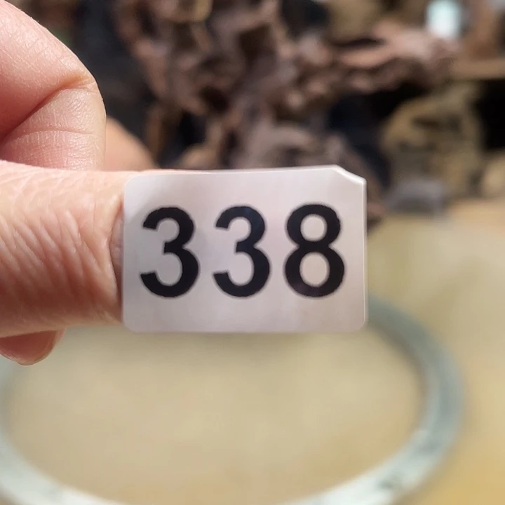 风车木（黑檀木）溪***翁我是否可以在