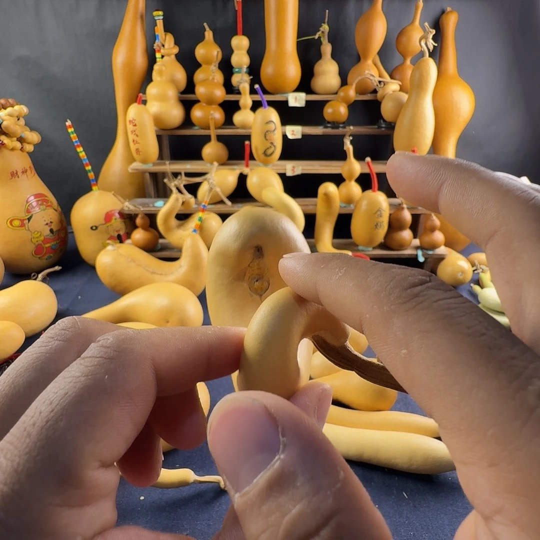 ?****芦葫芦葫芦真的超级好看