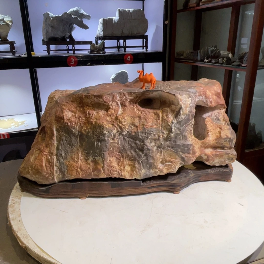 高***晶石材全场观众在看书了