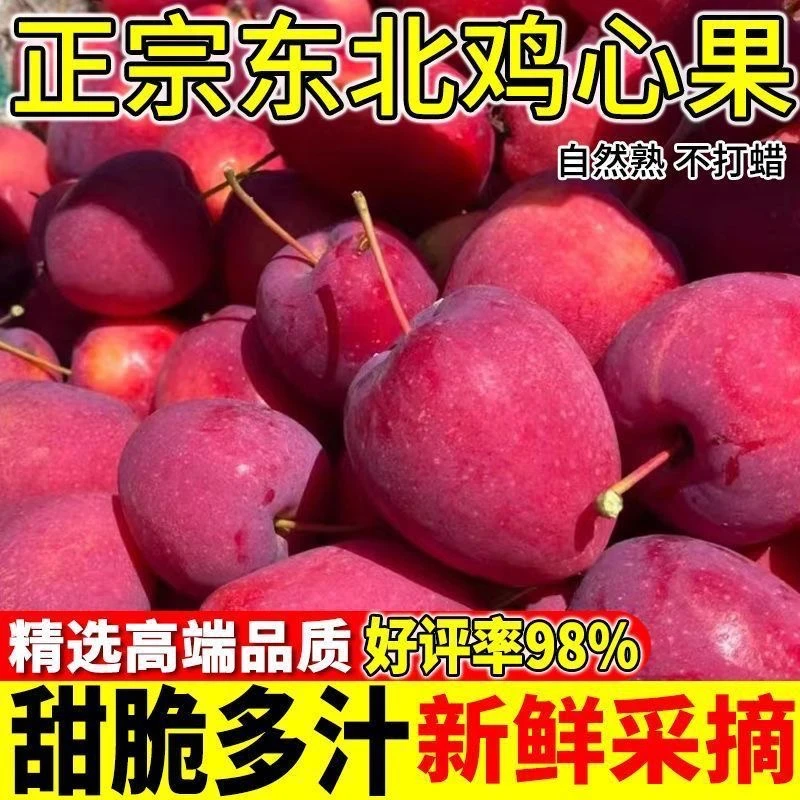 正宗东北鸡心果锦绣海棠酸甜水果脆冰糖心新鲜小苹果现摘现发5斤