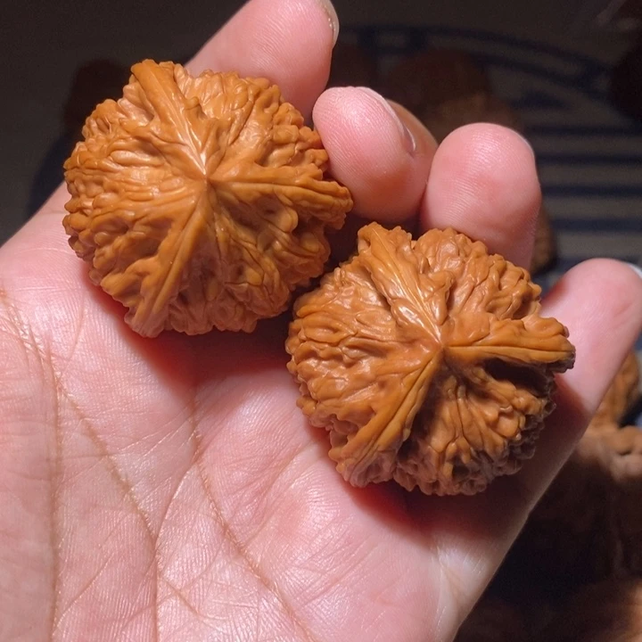 把件文玩核桃41粗筋御龙球奔