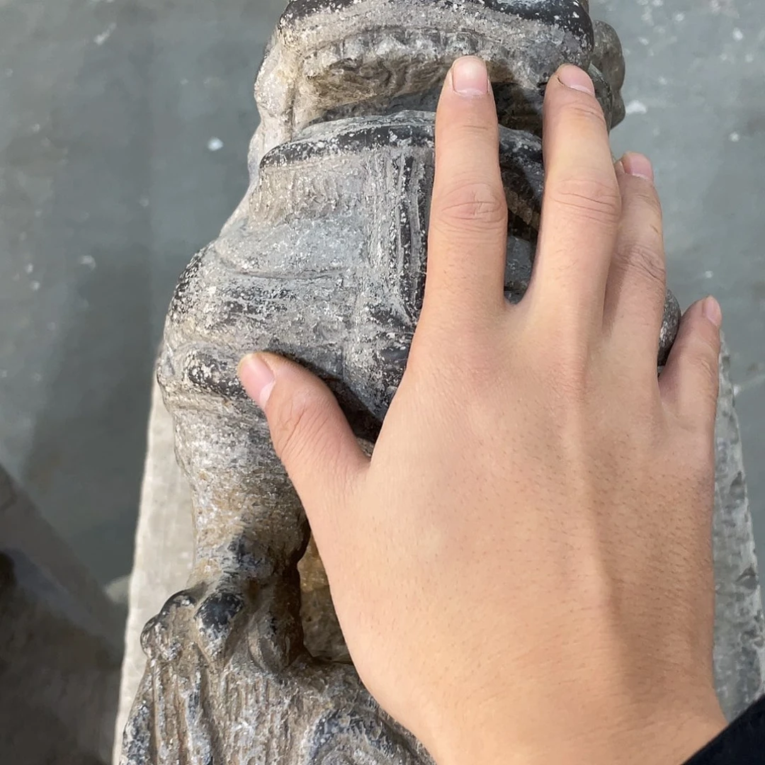 内***赁木我是一只小小鸟地域