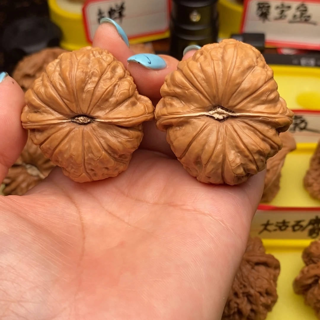 用***8菩提籽类南瓜墩墩
