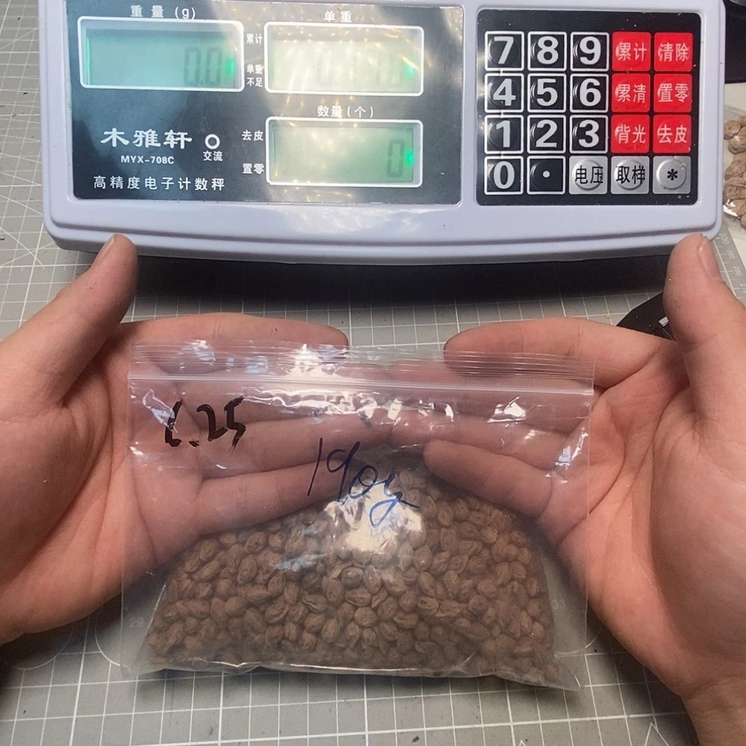 柏香籽/百香籽吊坠