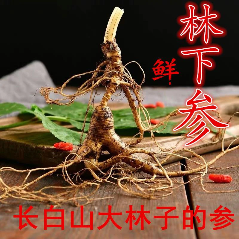 长白山林下参泡酒100克