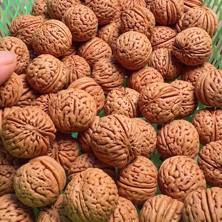 嗨***吊坠桃核河北一号肌肉72粒