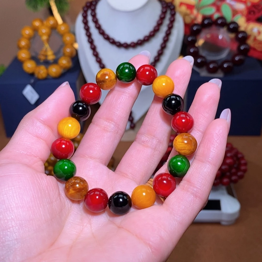 贝壳杉潼**代血龙木1.0多宝