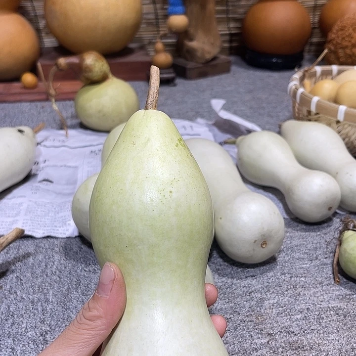 非洲紫檀（红花梨）蓝*