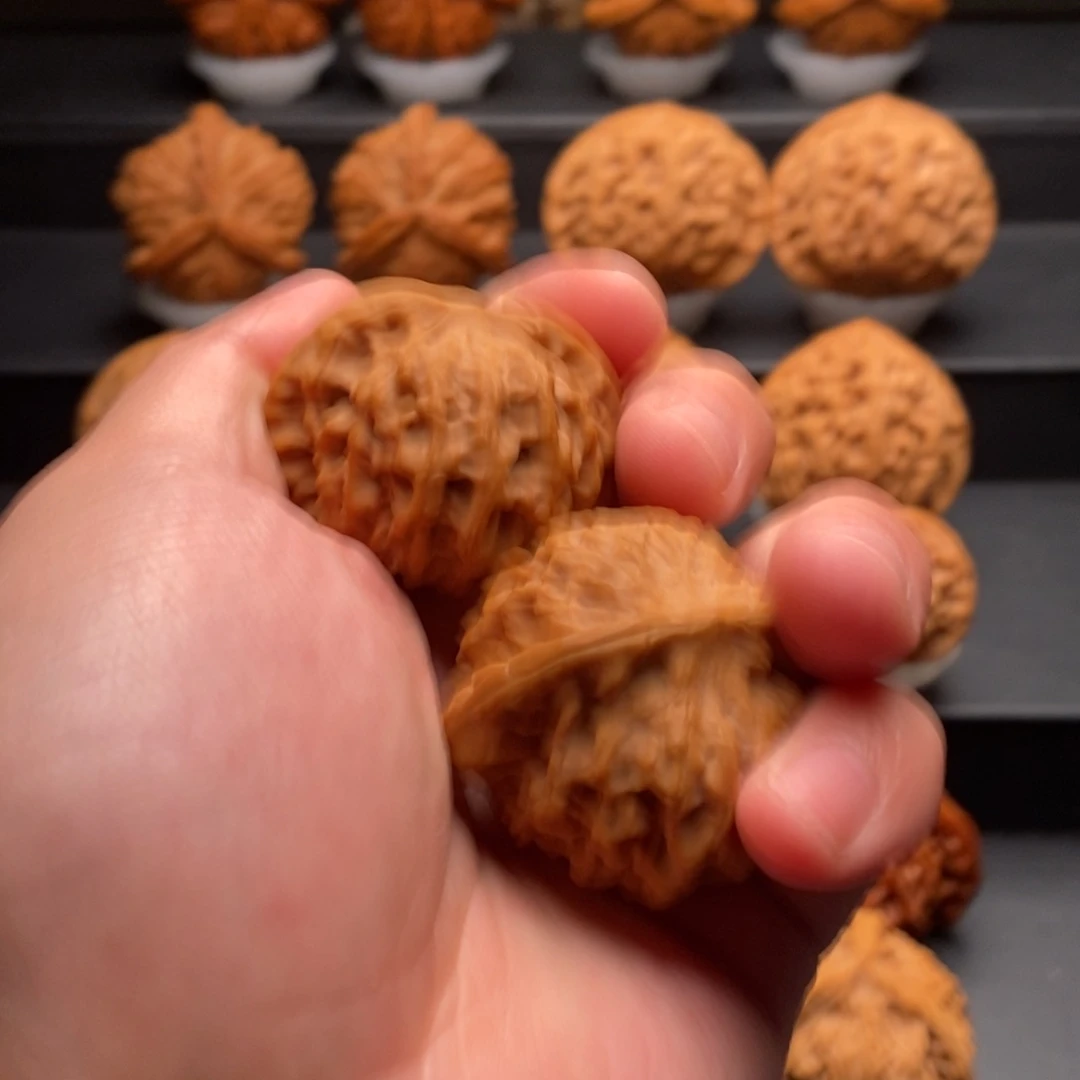 文玩核桃把件星**饭核为贵