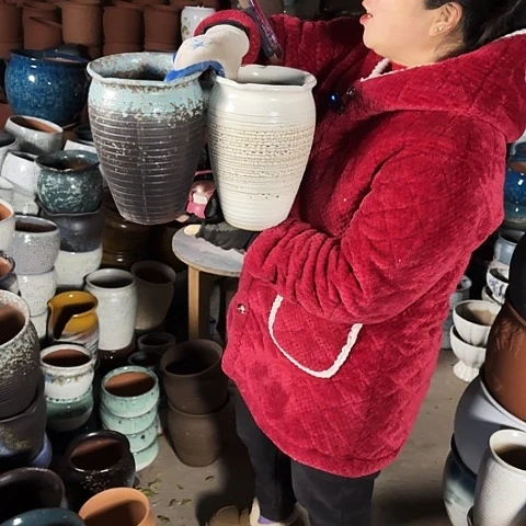 口17高25盆子盆子。