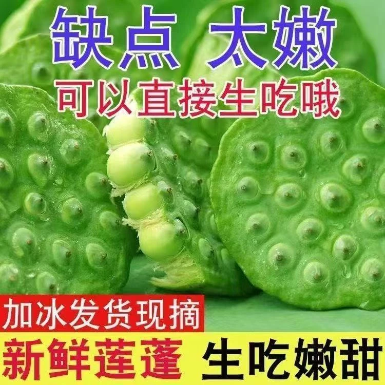 新鲜现摘三至四成熟嫩水果莲蓬生吃清甜爽口应季水果莲蓬