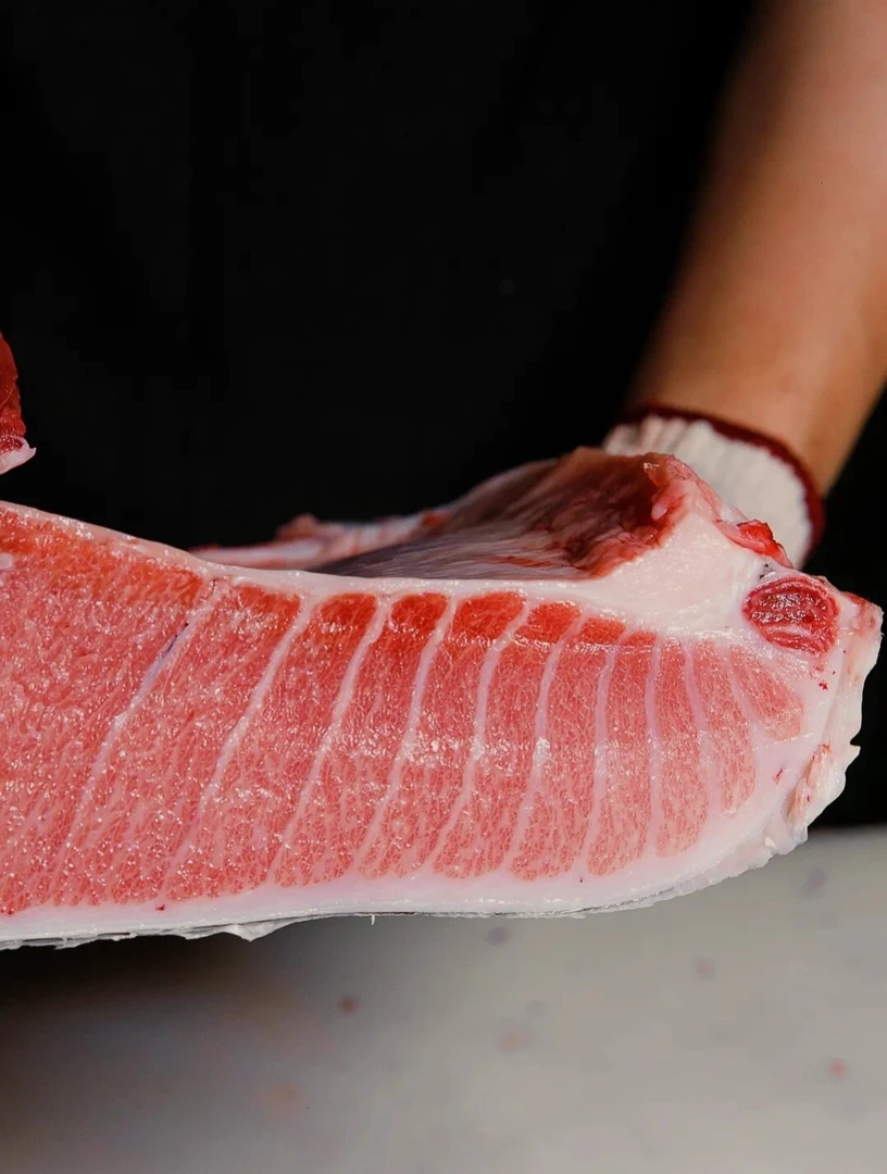 【600+大鱼】【大腹】蓝鳍金枪鱼大腹霜降部位刺身超低温干冰冷链发货