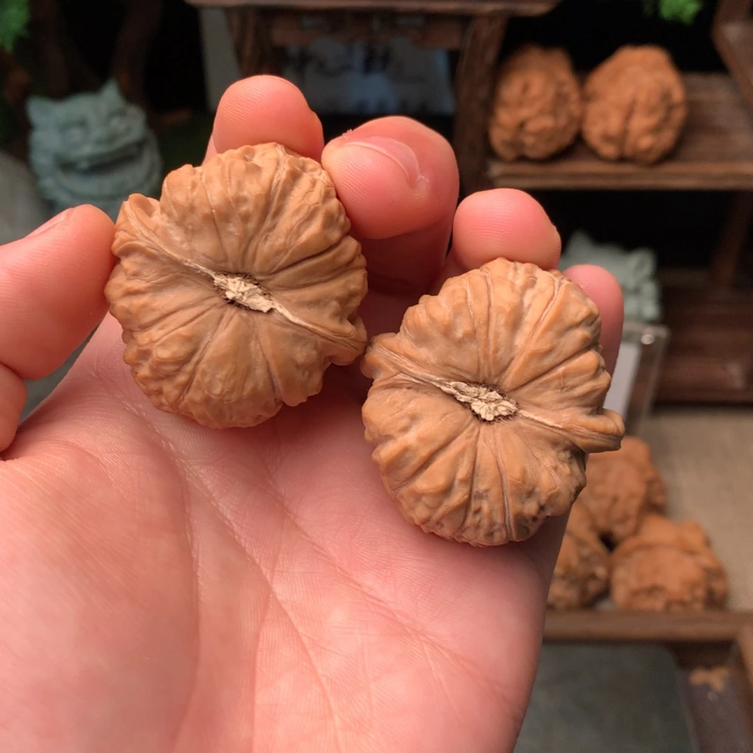 核桃41尺寸南瓜墩