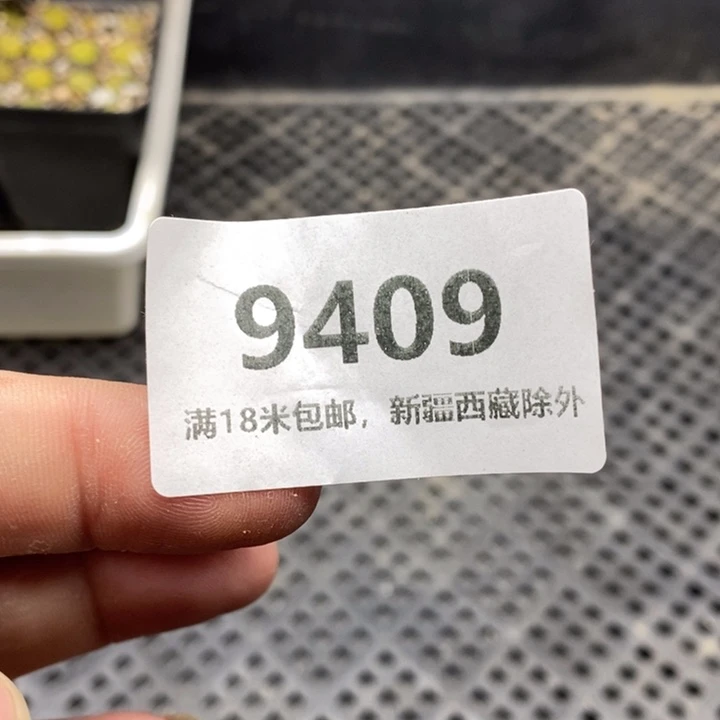 小***啵9409。