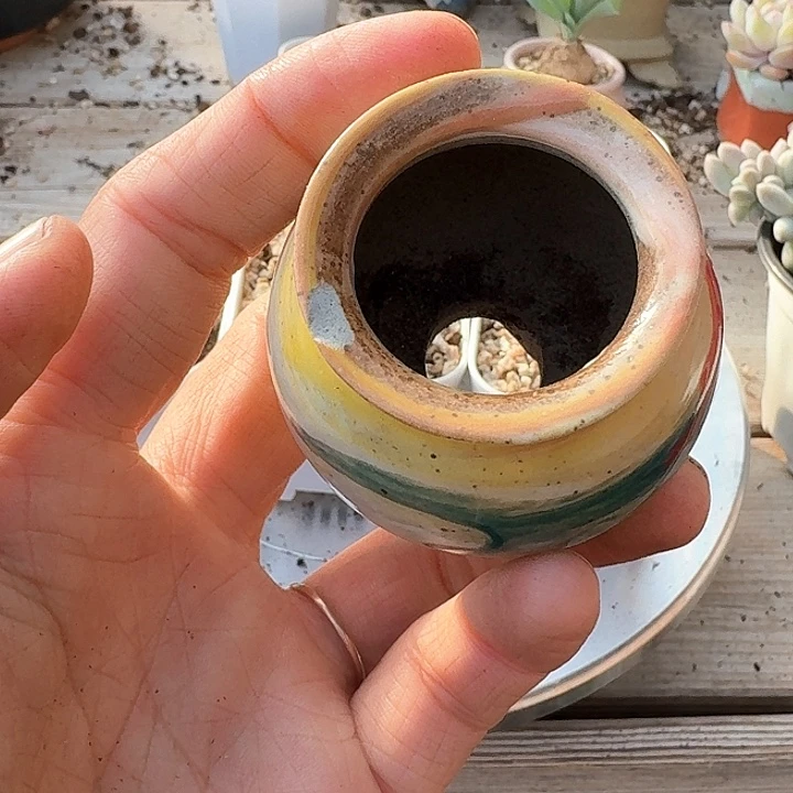 加***糕c j c f h c x h h g 265