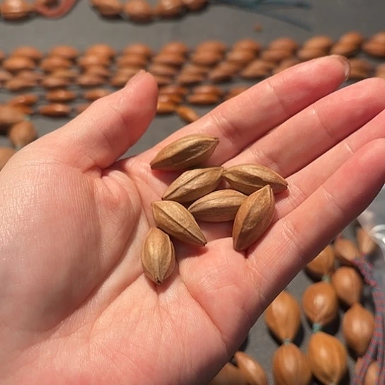 橄榄核手串/手链老****子1.1小瓜一手持