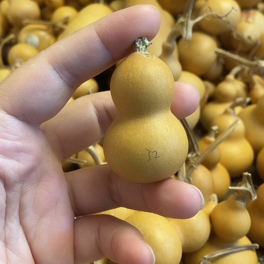 文玩葫芦 完美主义者 慎拍32