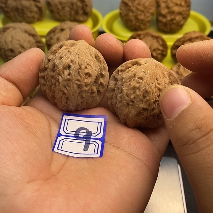 吊坠文玩核桃36铁锤