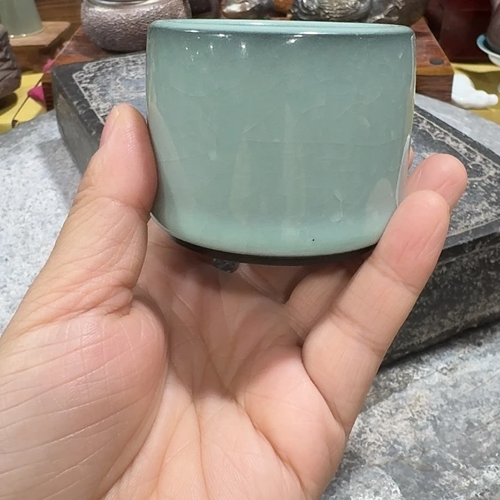 主人杯一个，瓷。。。