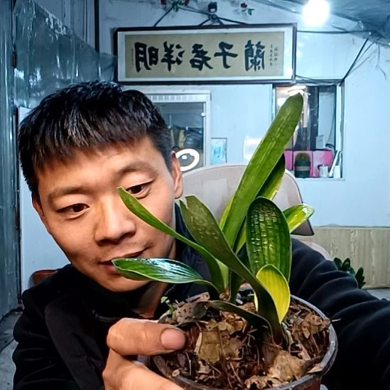 @70后的我，刘红琴35