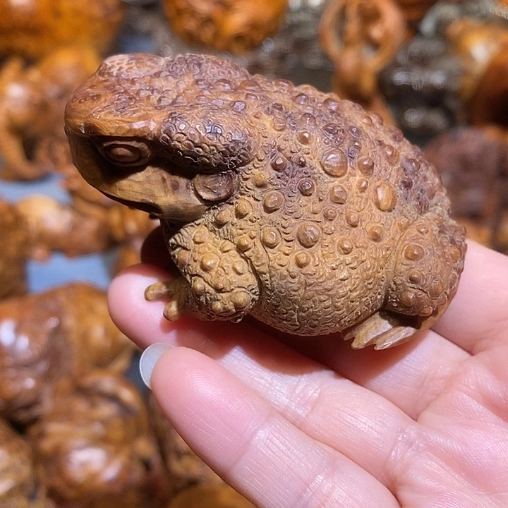 柏木太行崖柏陈化