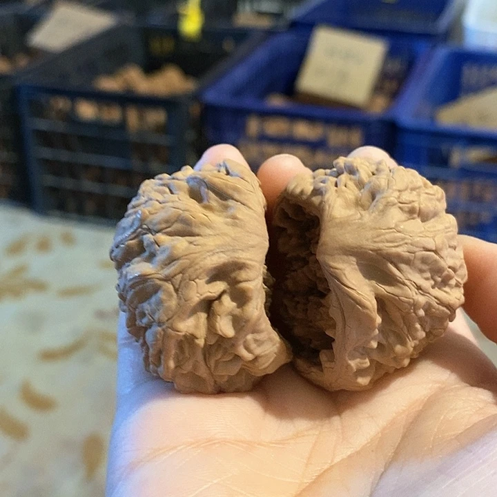 核桃手串/手链蛇头