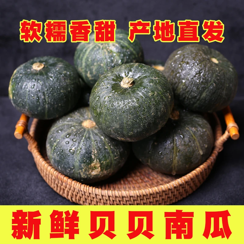 贝贝南瓜新鲜板栗味南瓜正宗甜粉糯南瓜水果蔬菜