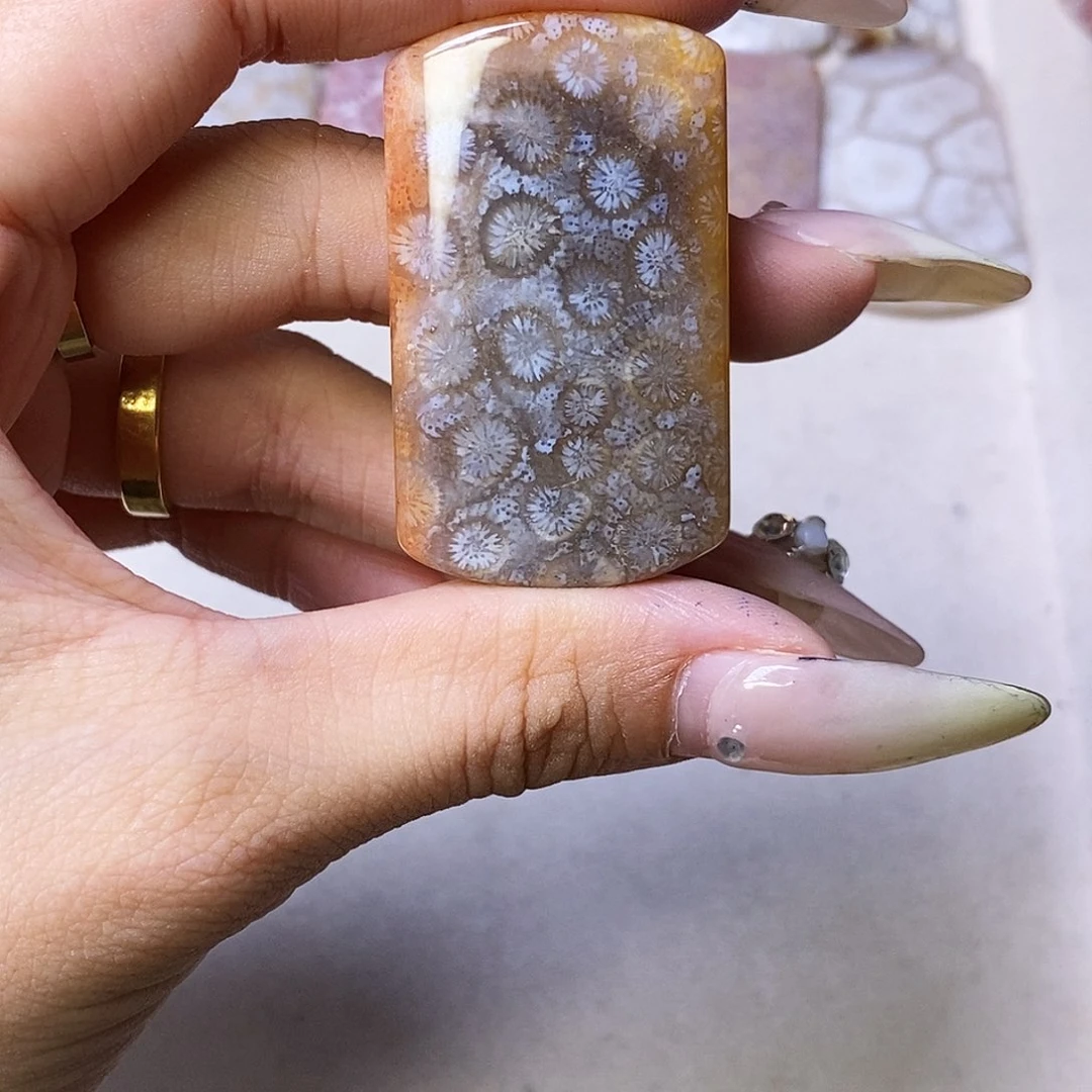 查罗石合金颈饰c****l