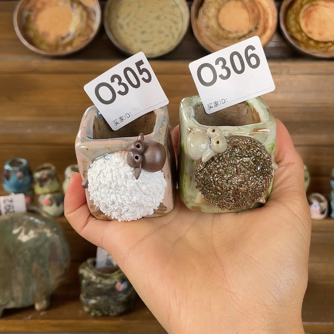 小白孤品 立体小羊 内口3.2百搭