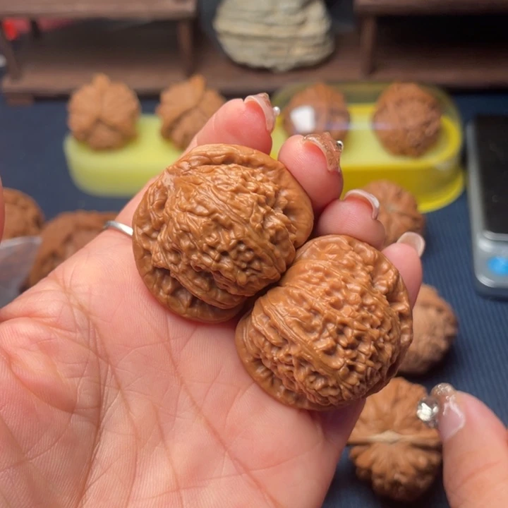 片***警核桃37白狮子000000