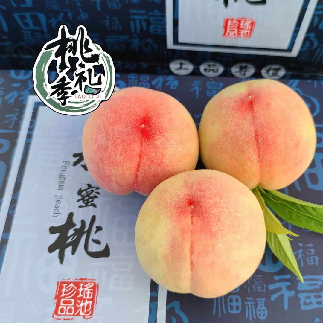奉化水蜜桃  湖景蜜露 5两以上 宁波特产新鲜 爆汁香甜应季水果