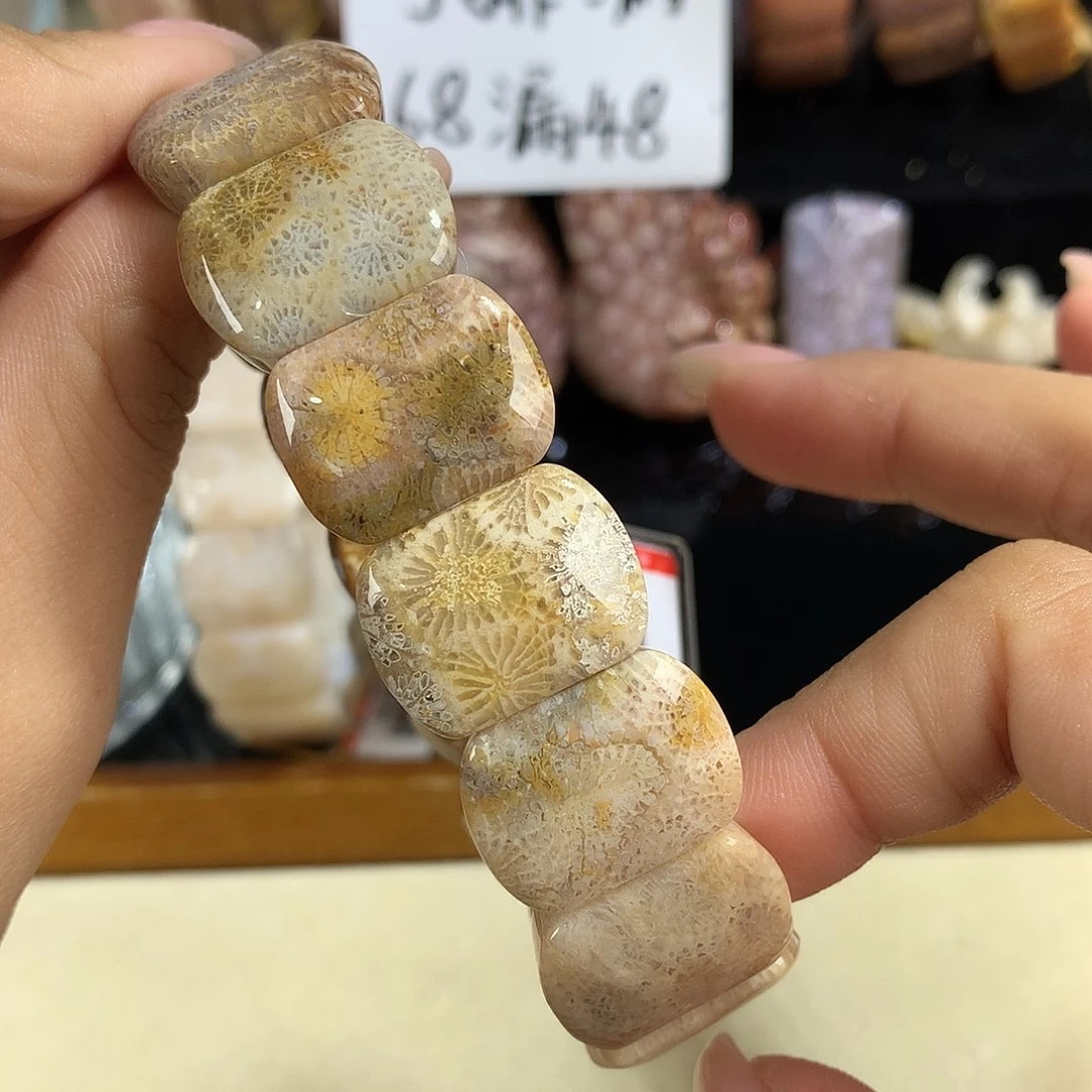 吊坠(赠链)未镶嵌硅化珊瑚（珊瑚玉）30号68漏48