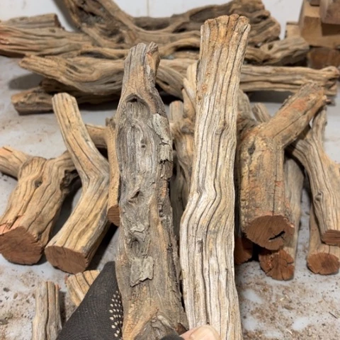 大果紫檀（缅甸花梨）徐****衍