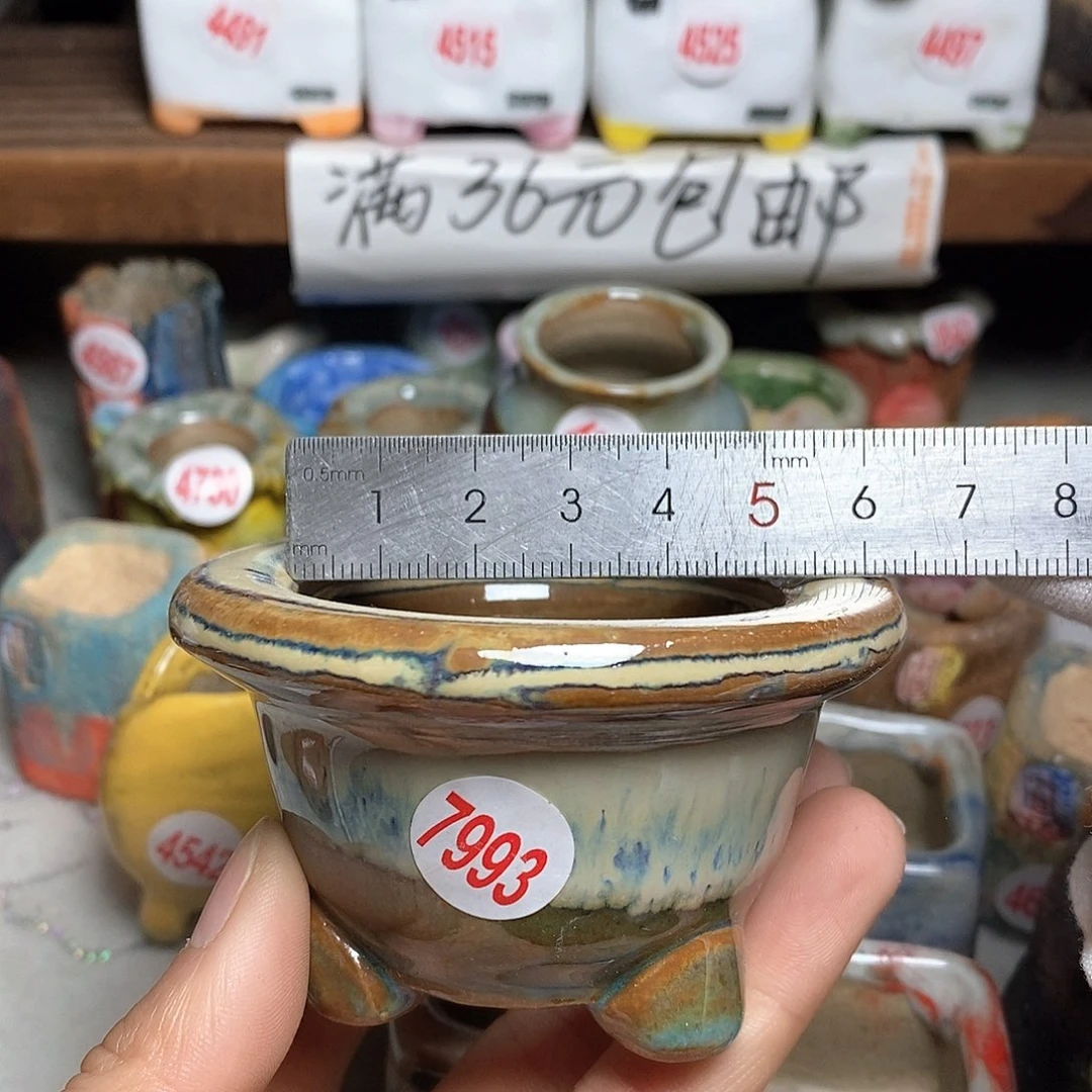 红陶拍5送一个小