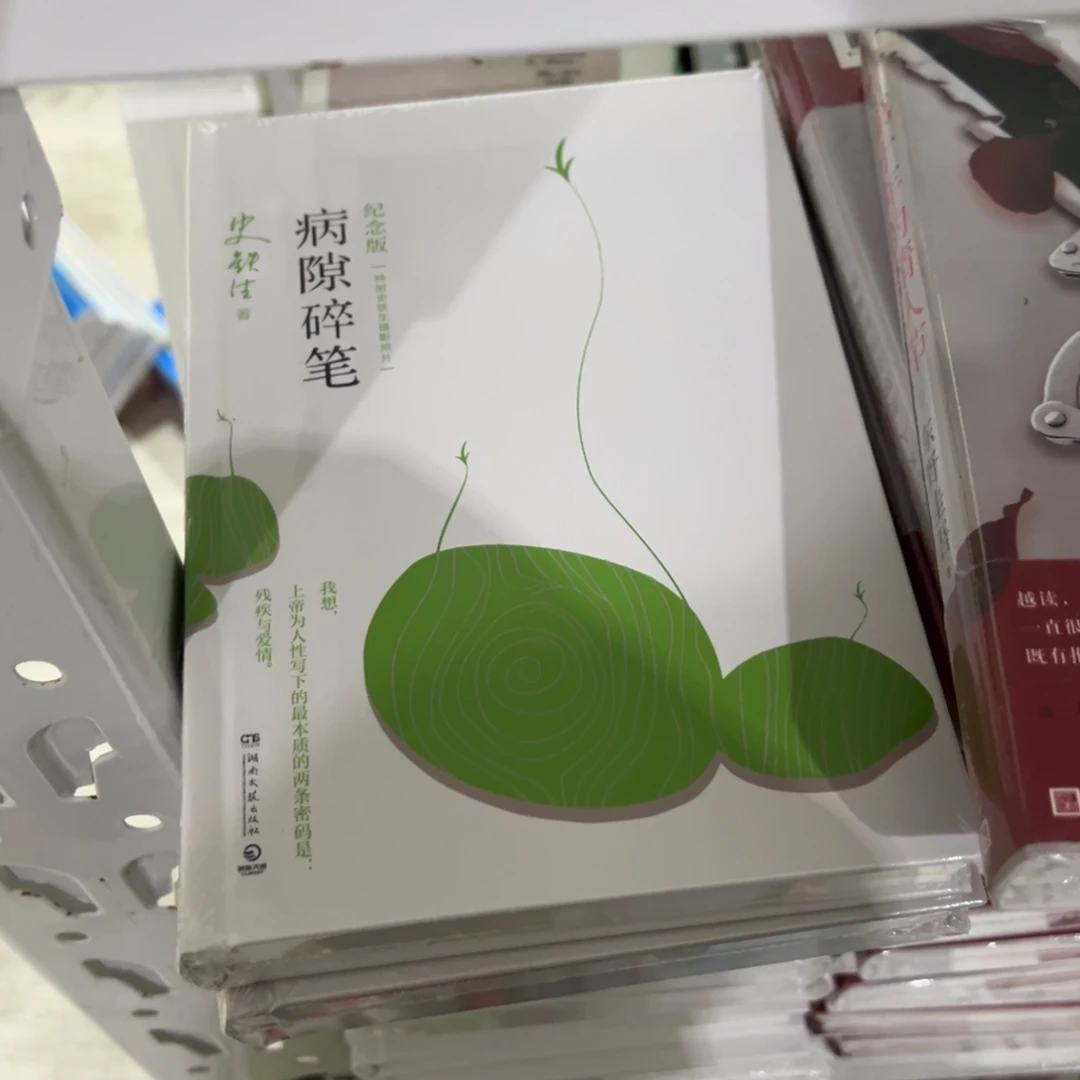 病隙碎笔精装一个