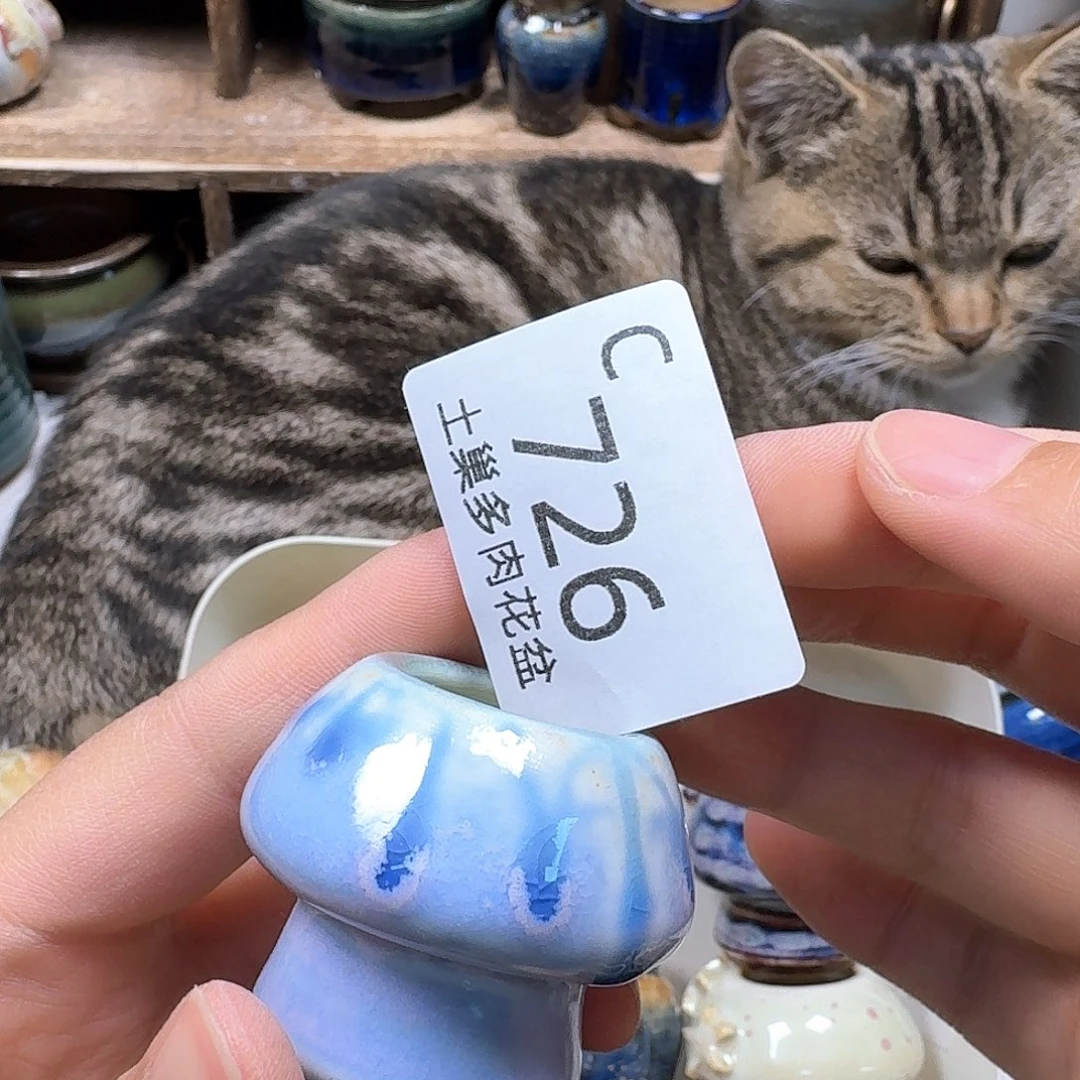 罐陶瓷工艺与艺术