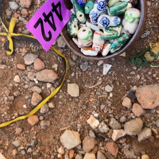 东***方杂色豆（科檀/科特迪瓦檀木）