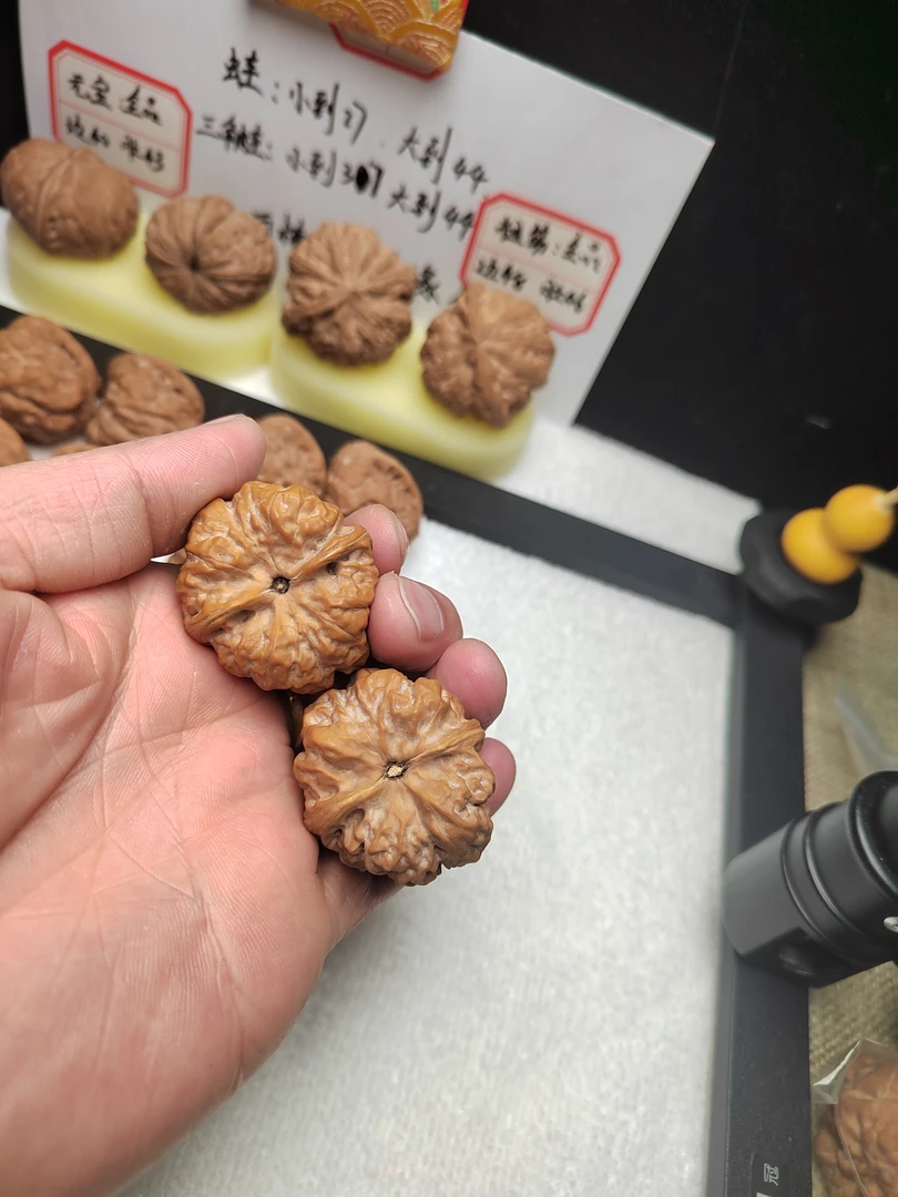 金蟾蛤蟆头文玩核桃