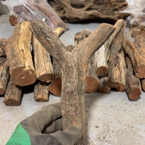 大果紫檀（缅甸花梨）小**夫