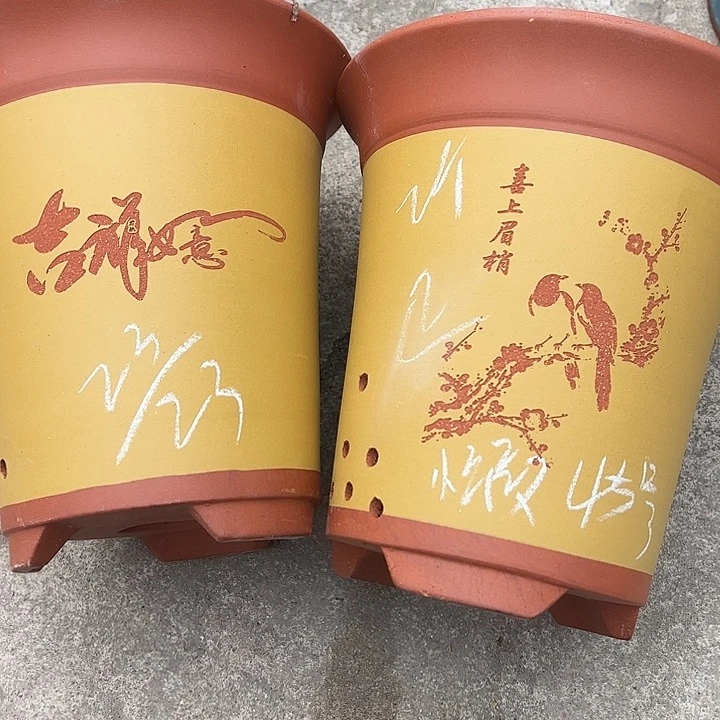 45 号宜兴紫砂花盆特惠