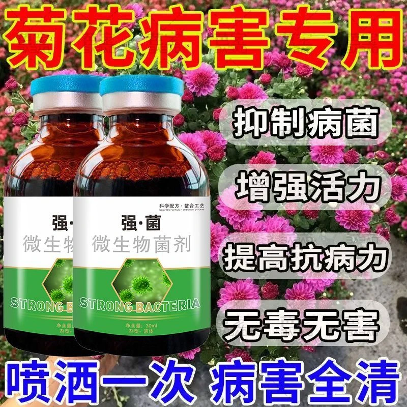 万寿菊专用杀菌剂防治菊花病害烂叶病根腐疫病枯萎病万寿菊病全管