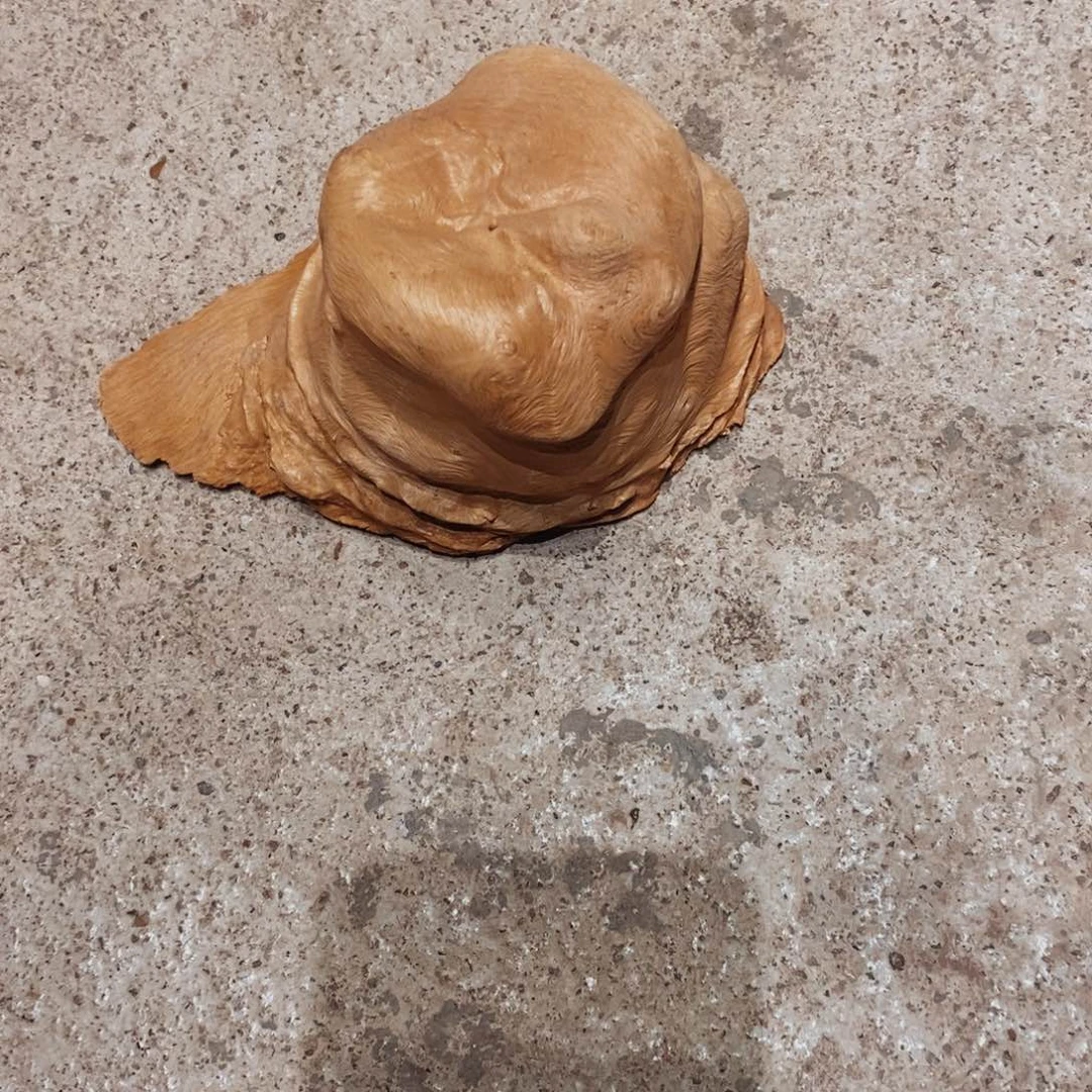 用***0荔枝木随形木材一个