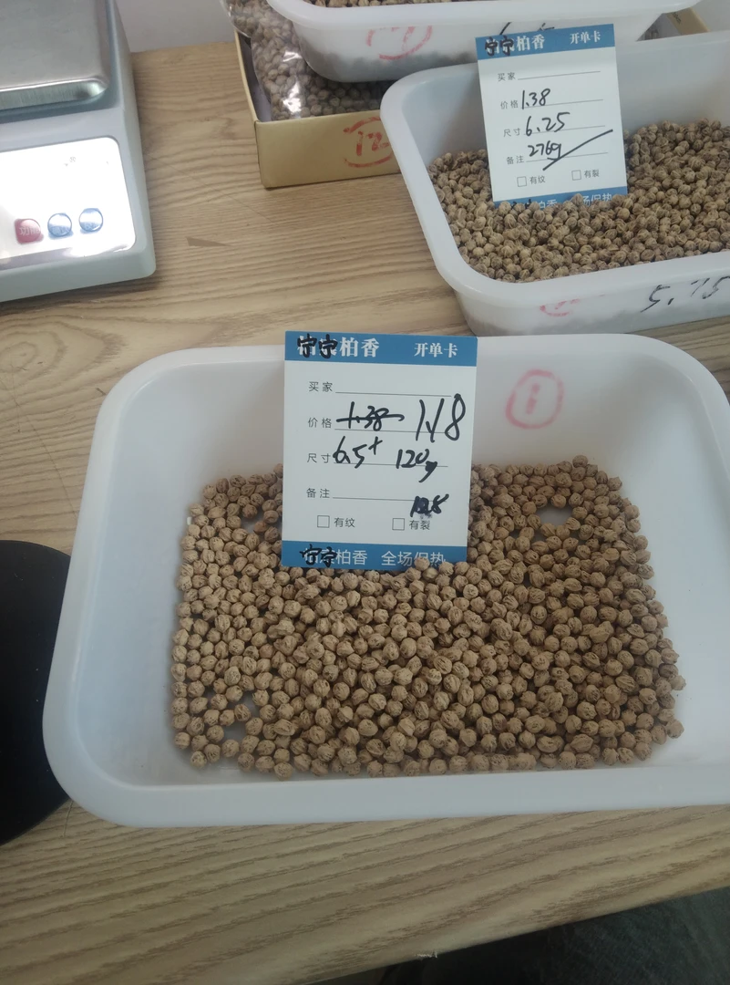 热振柏香籽散籽原料