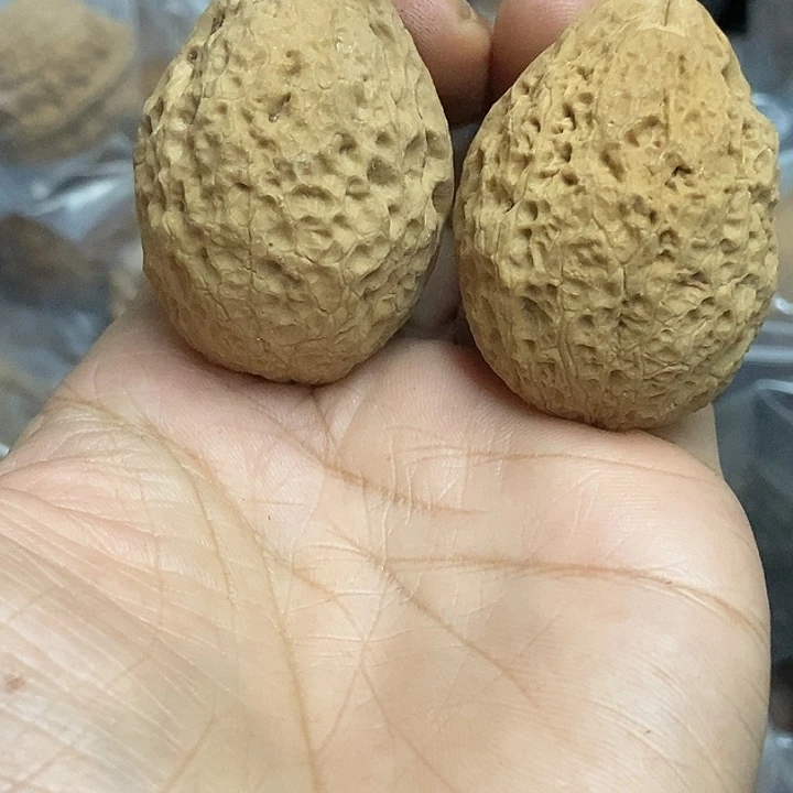 文玩核桃把件云南铁核桃基地77